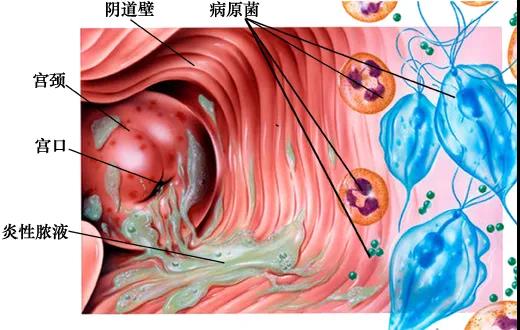 微信图片_20211029161644