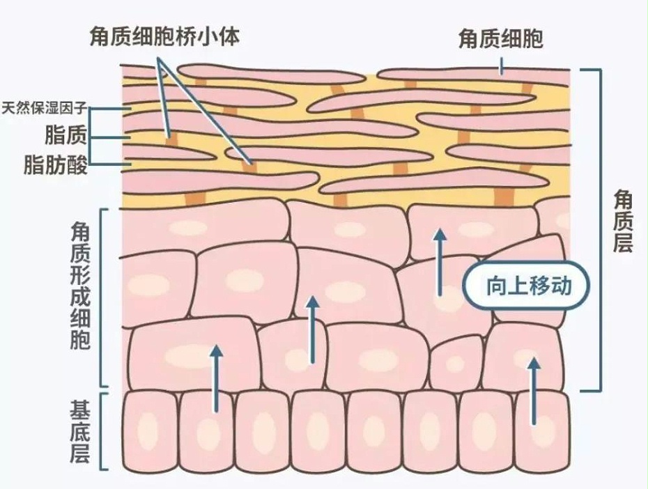 微信图片_20211115084119